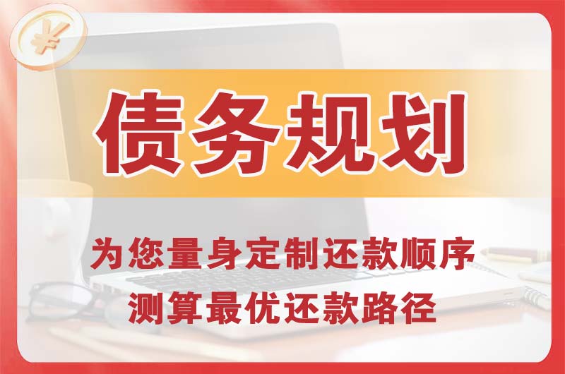 阜平债务规划